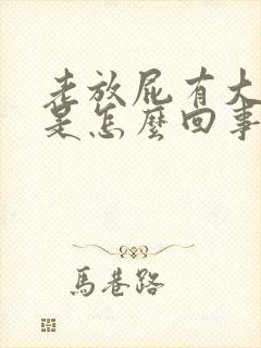 老放屁有大便感是怎么回事