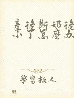 产后断奶后胸变小了怎么办啊封面