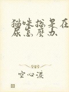 猫咪总是在床上尿怎么办