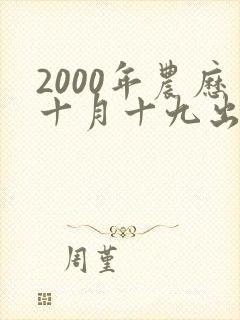 2000年农历十月十九出生男孩命运