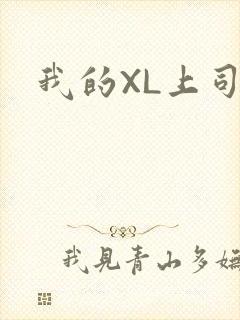 我的XL上司