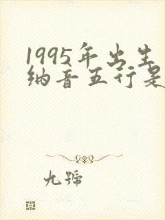 1995年出生纳音五行是什么命