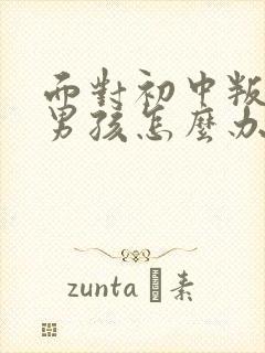 面对初中叛逆的男孩怎么办