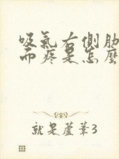 吸气右侧肋骨里面疼是怎么回事封面