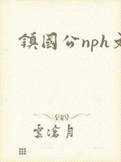 镇国公nph文