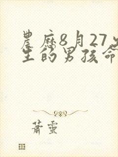 农历8月27出生的男孩命运
