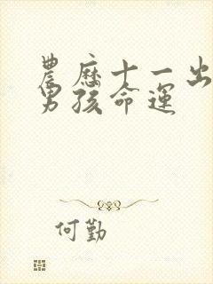 农历十一出生的男孩命运