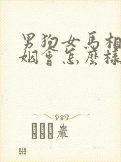 男狗女马相配婚姻会怎么样