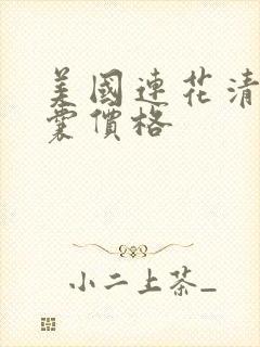 美国连花清瘟胶囊价格