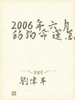 2006年六月的狗命运怎样