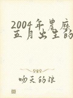 2004年农历五月出生的猴的命运封面
