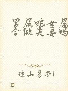 男属蛇女属狗适合做夫妻吗