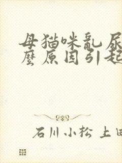 母猫咪乱尿是什么原因引起的封面