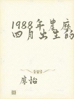1988年农历四月出生的命运