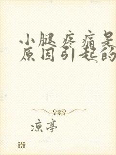 小腿疼痛是什么原因引起的呢