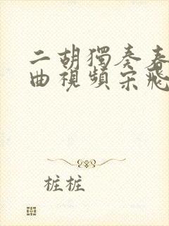 二胡独奏春节序曲视频宋飞封面