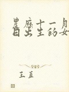 农历十一月十一日出生的女孩命运