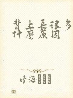 背上长很多痤疮什么原因