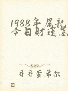 1988年属龙今日财运怎么样封面