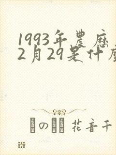 1993年农历2月29是什么命封面