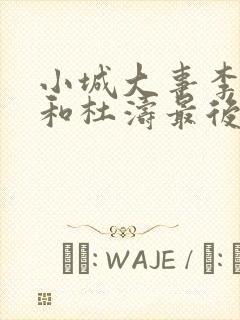 小城大事李秋萍和杜涛最后在一起了吗