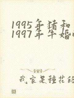 1995年猪和1997年牛婚配好吗