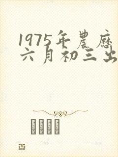 1975年农历六月初三出生的男孩命运