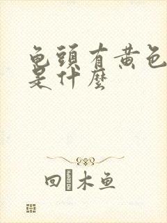 龟头有黄色的脓是什么封面