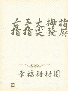 右手大拇指和食指指尖发麻封面