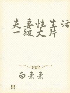 夫妻性生活黄色一级大片