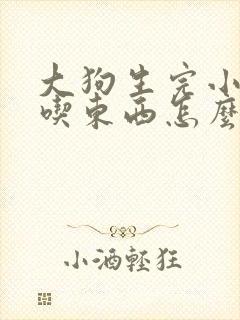 大狗生完小狗不吃东西怎么办