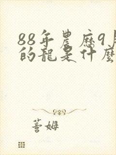 88年农历9月的龙是什么命
