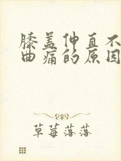 膝盖伸直不痛弯曲痛的原因封面