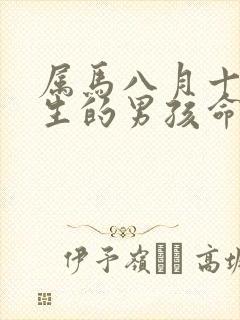 属马八月十五出生的男孩命运