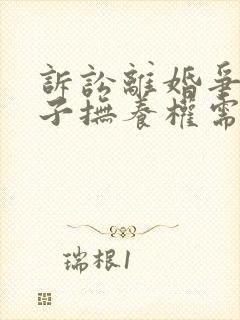 诉讼离婚争取孩子抚养权需要找律师吗封面