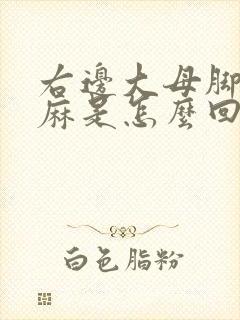 右边大母脚趾头麻是怎么回事