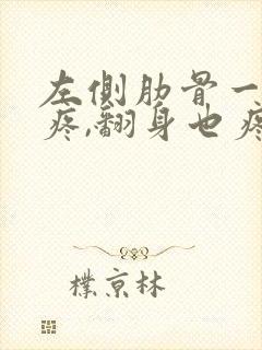 左侧肋骨一动就疼,翻身也疼