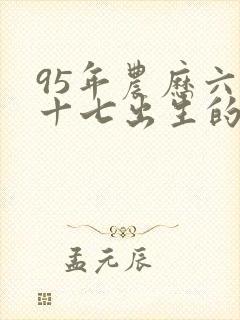 95年农历六月十七出生的命运