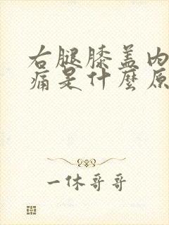 右腿膝盖内侧疼痛是什么原因引起的