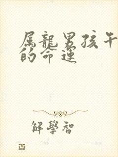 属龙男孩午时生的命运