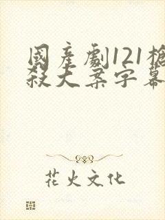 国产剧121枪杀大案字幕版