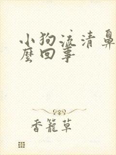 小狗流清鼻涕怎么回事