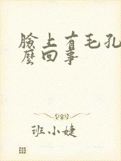 脸上有毛孔是怎么回事