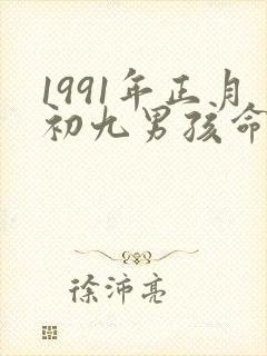 1991年正月初九男孩命运如何封面