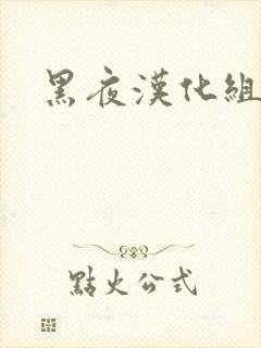 黑夜汉化组