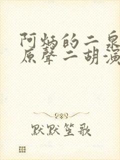 阿炳的二泉映月原声二胡演奏