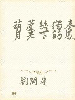 葫芦丝独奏曲 月光下的凤尾竹降b调