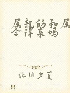 属龙的和属兔的合得来吗