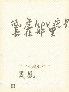 低危hpv疣体长在哪里