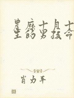 农历十月十五出生的男孩命运怎么样